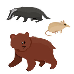 Set of cute bear, badger, bandicoot in cartoon style.