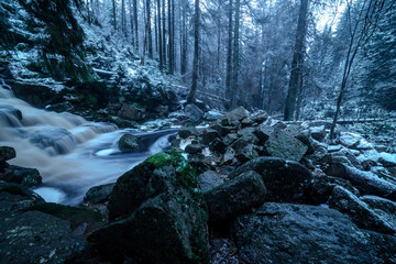 Auslauf am Oderteich zur Winterzeit