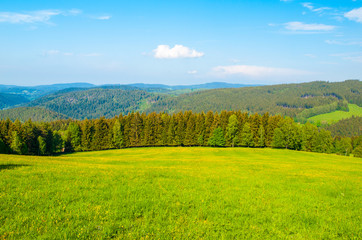 Beautiful summer mountain landscape with lush green meadows and forest and blue sky with white clouds.