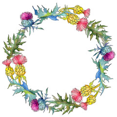 Wildflower thistle flower wreath in a watercolor style. Full name of the plant: thistle. Aquarelle wild flower for background, texture, wrapper pattern, frame or border.
