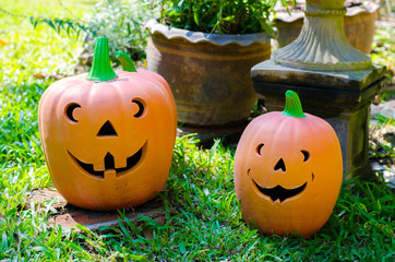 Halloween Pumpkins in garden outdoor.  Beauty Holiday autumn festival concept.Orange pumpkin in...