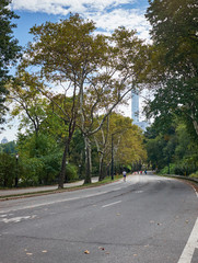 Fototapeta na wymiar Running on the road in Central Park, New York