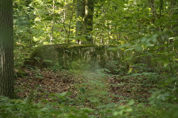 Remains of the megalithic chambered tomb Pustow 8 in Germany