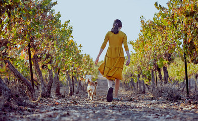 Obraz premium girl in yellow dress with dog in vineyard