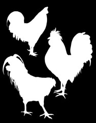 set of three chicken silhouettes on black