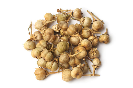 Peganum harmala fruit