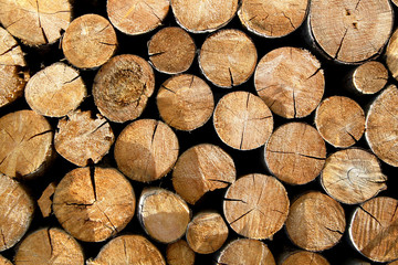 Rundhölzer auf einem Stapel