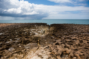 Big coral formation with sea background
