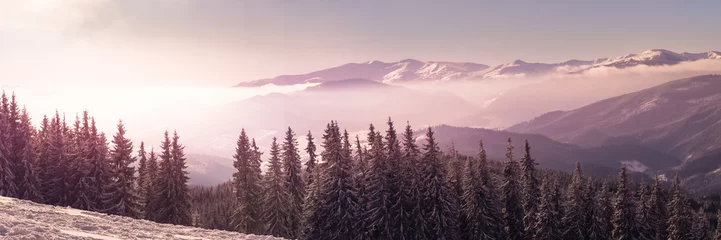 Foto op Canvas Winter Nature snowy landscape outdoor background. © nadianb
