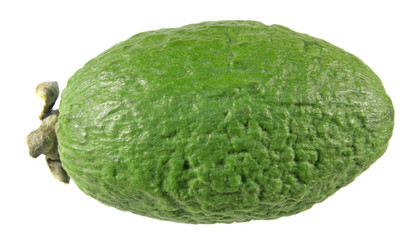 Green unpeeled feijoa fruit isolated on white background