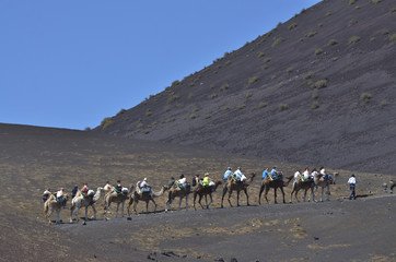 Kamelsafari im Timanfaya Nationalpark, Lanzarote