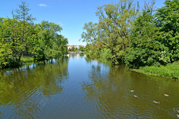 Fototapeta na wymiar The Paslenka River in summer sunny day. Braniewo, Poland