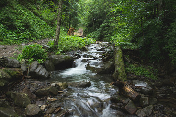 Obraz premium Landscapes of the mountains and Mountain river and natural green forest. Carpathian Mountains. The mountain river. Carpathian Mountains. Europe. Ukraine.