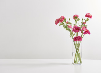 white wall vase of flowers white background 