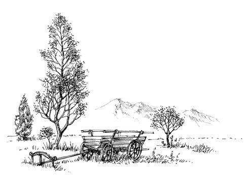 Countryside Artistic Drawing. Rural Nature And Cart Sketch