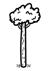 tree / cartoon vector and illustration, black and white, hand drawn, sketch style, isolated on white background.