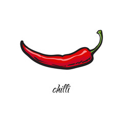 Hand drawn whole red chili pepper with caption, sketch style vector illustration on white background. Realistic hand drawing of whole ripe red chili pepper with legend