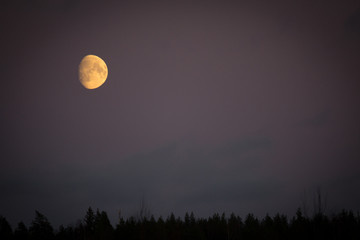 Fototapeta premium Mondaufgang