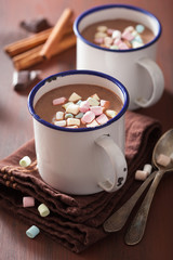 hot chocolate with mini marshmallows cinnamon winter drink