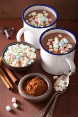 hot chocolate with mini marshmallows cinnamon winter drink