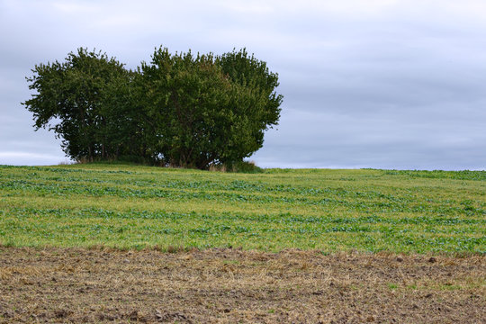 Habitats Directive Area In Mecklenburg-Vorpommern, Germany. The Name Is Kleingewaesserlandschaft Bei Doemitzow