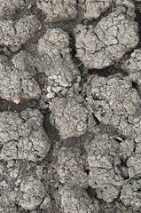 Ground parched by drought in the country
