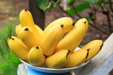 Bunch of Cambodia Ripe Banana on a Plate
