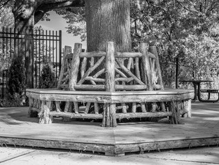 Outdoor rotunda bench seating area. Wooden built bench wrapped around tree trunk. Park outdoor wrap around bench. Abstract architectural outdoor detail.