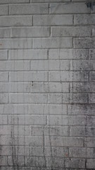Muro tijolos branco manchas pretas grunge