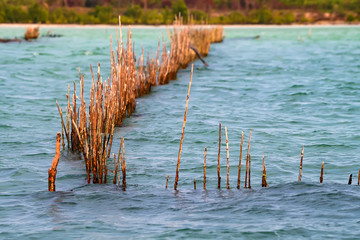 Fish trap in river, beautiful natural landscape