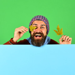 Hipster with beard and cheerful face closes eyes with leaf.