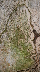 Muro com buraco e rachaduras multicor