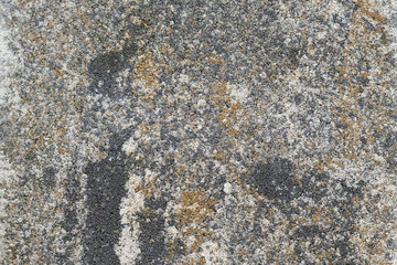 Bodenplatten aus Beton als Terrassenbelag