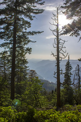 Views of Yosemite Valley from the Washburn Point observation area. A World Heritage Site since 1984