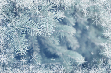 Fir tree and snowflakes frame