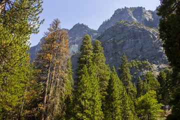Views of Yosemite Valley in Yosemite National park, Eastern California