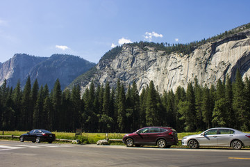 Fototapeta premium Views of Yosemite Valley in Yosemite National park, Eastern California