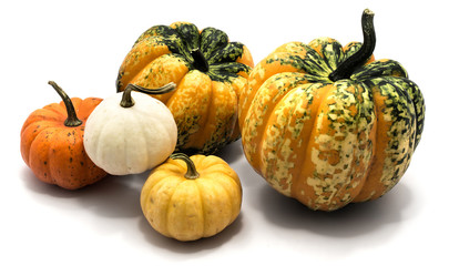Composition of colorful Halloween pumpkins isolated on white background.