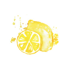 Juicy ripe lemon fruit watercolor hand painting vector Illustration