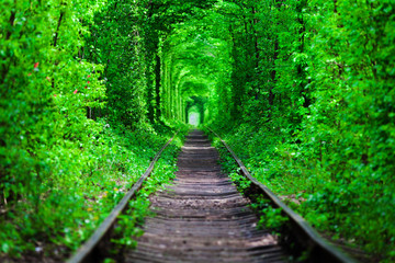 a railway in the spring forest tunnel of love