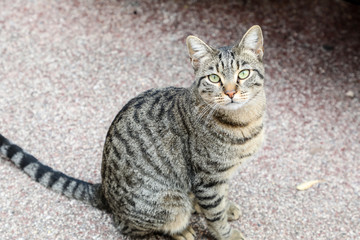 What are you looking at?