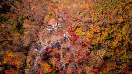 Autumn of Naejangsan National Park,South Korea