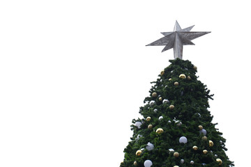 Christmas tree closeup top isolated on white background