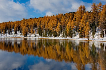 Autumn in the Altai Mountains