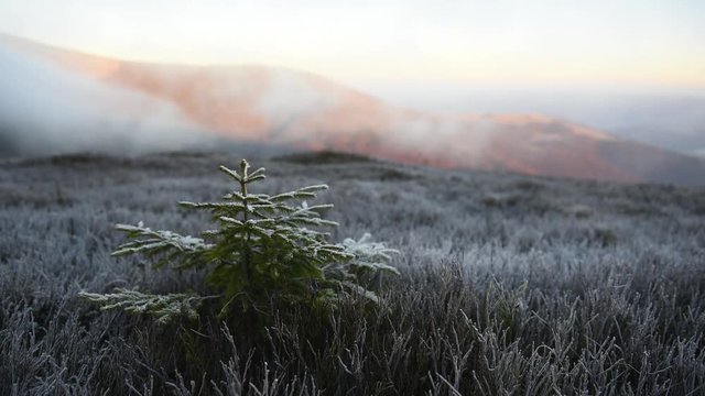Fantastic autumn landscape with frost