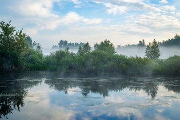 blue sky and foggy lake forest