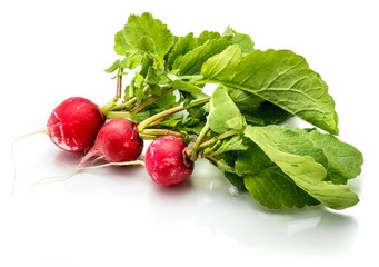 Three whole red radish with fresh green leaves isolated on white background.
