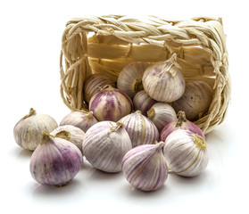 Scattered solo pearl garlic from a straw basket isolated on white background.