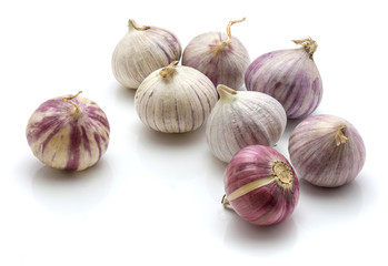 Group of solo garlic isolated on white background.