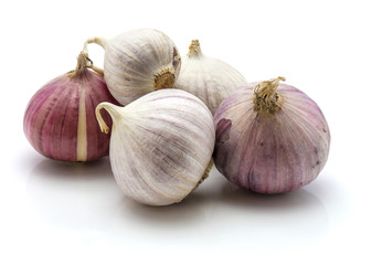 Group of solo garlic isolated on white background.